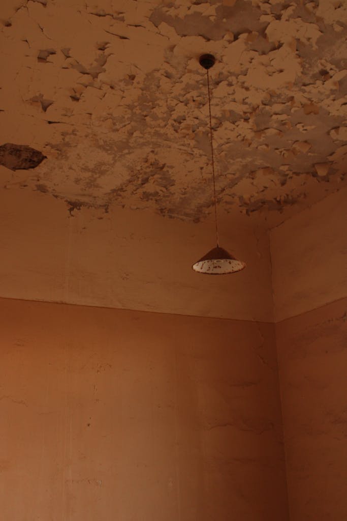 Infiltration d’eau au plafond d’une maison en Belgique