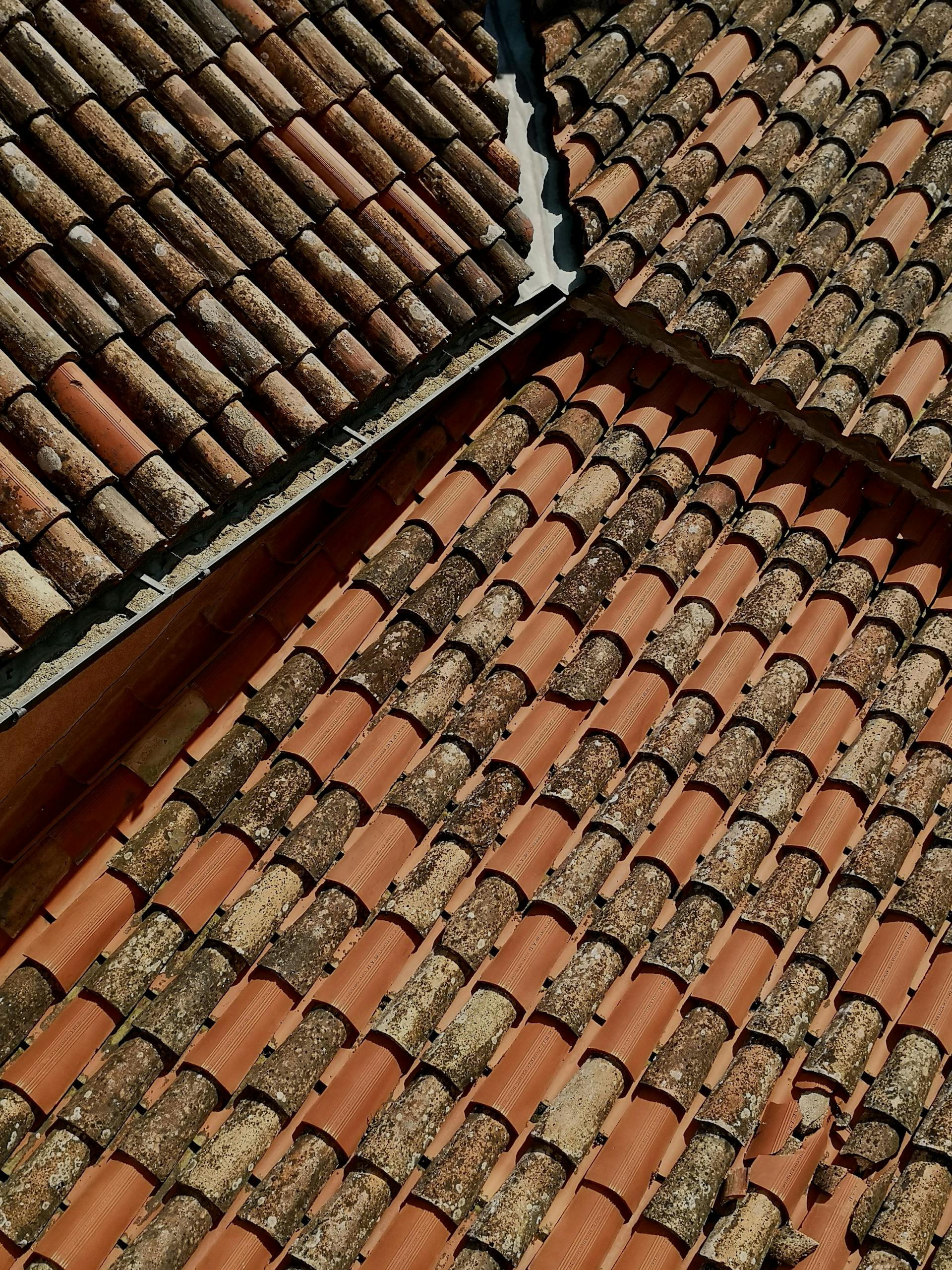 Tuiles en terre cuite et tuiles en béton pour toiture en Belgique
