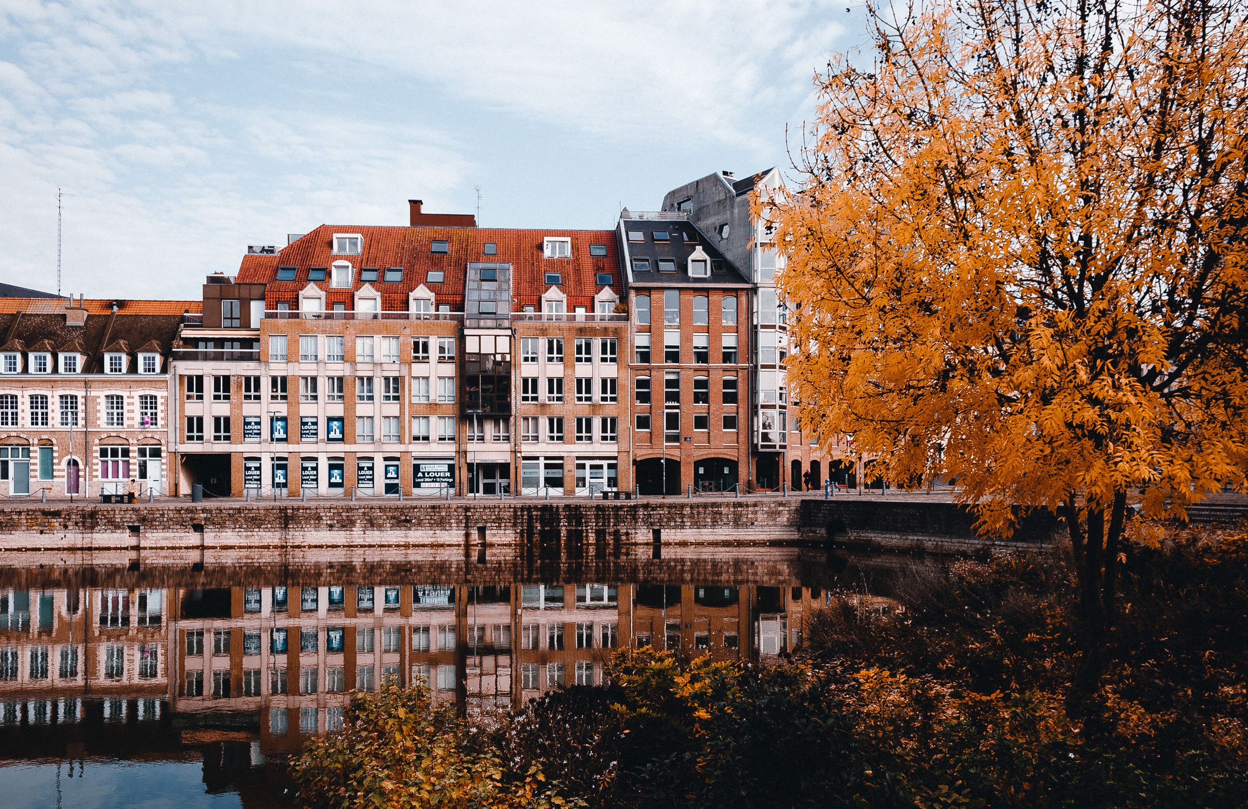 Toiture en automne avec feuilles dans les gouttières en Belgique