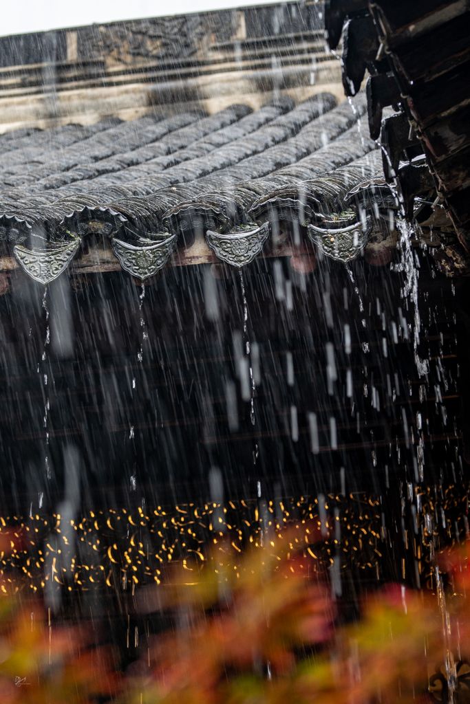 Descente d’eau pluviale en zinc évacuant la pluie sur façade belge